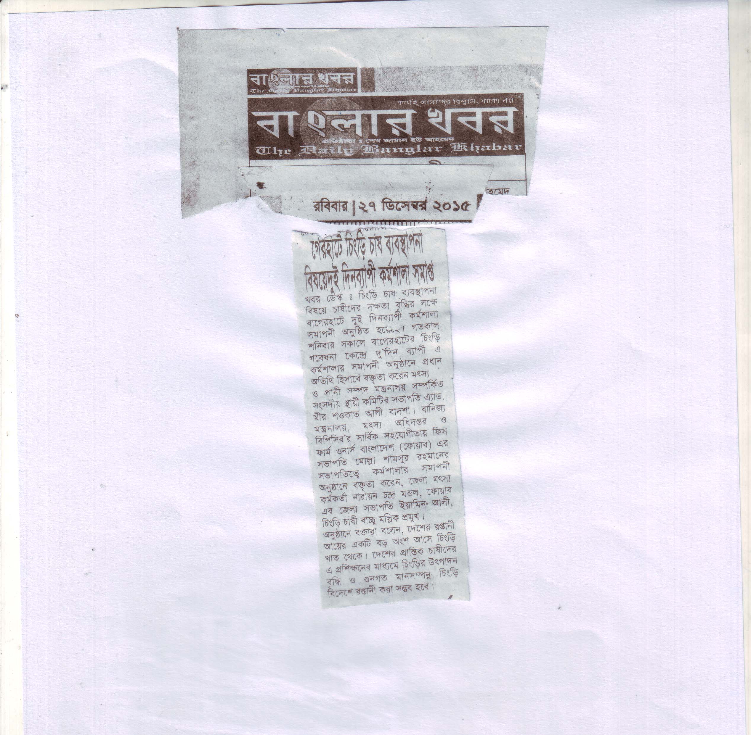 National Press & Investigative Media Coverage