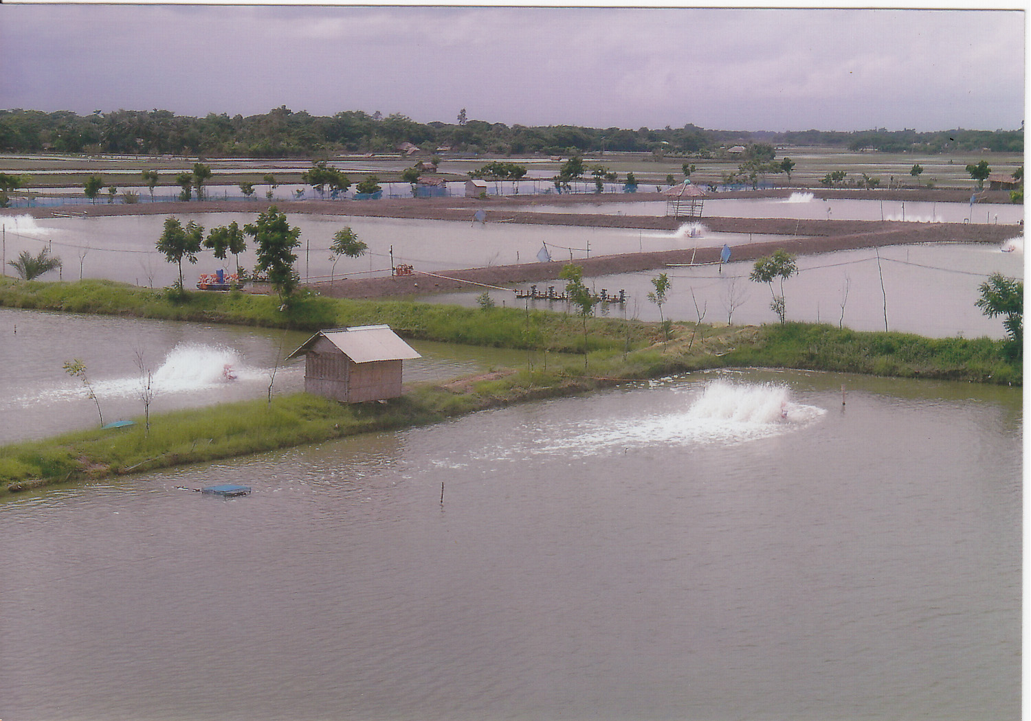 Commercial Aquaculture Farms & Ponds