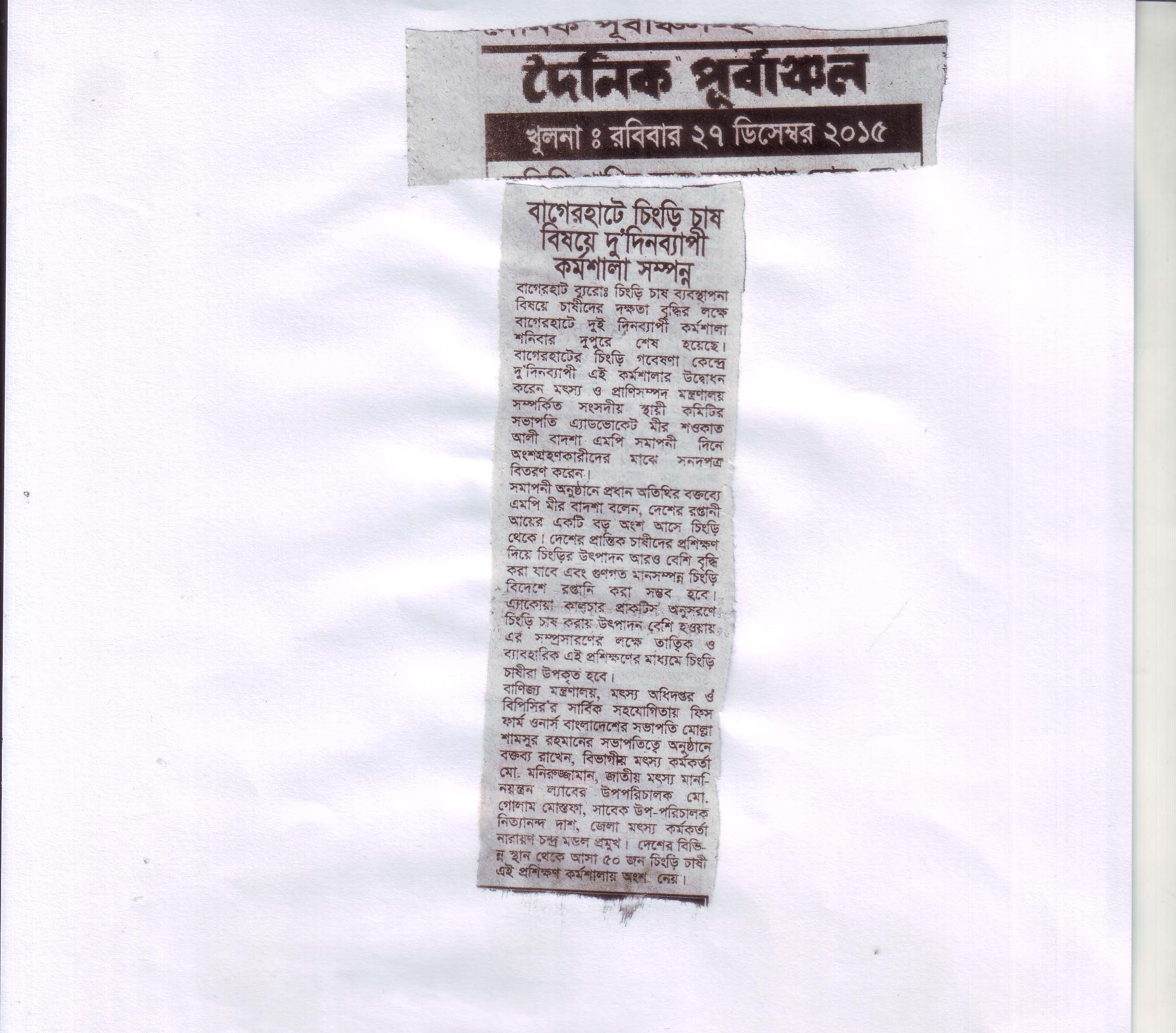 National Press & Investigative Media Coverage